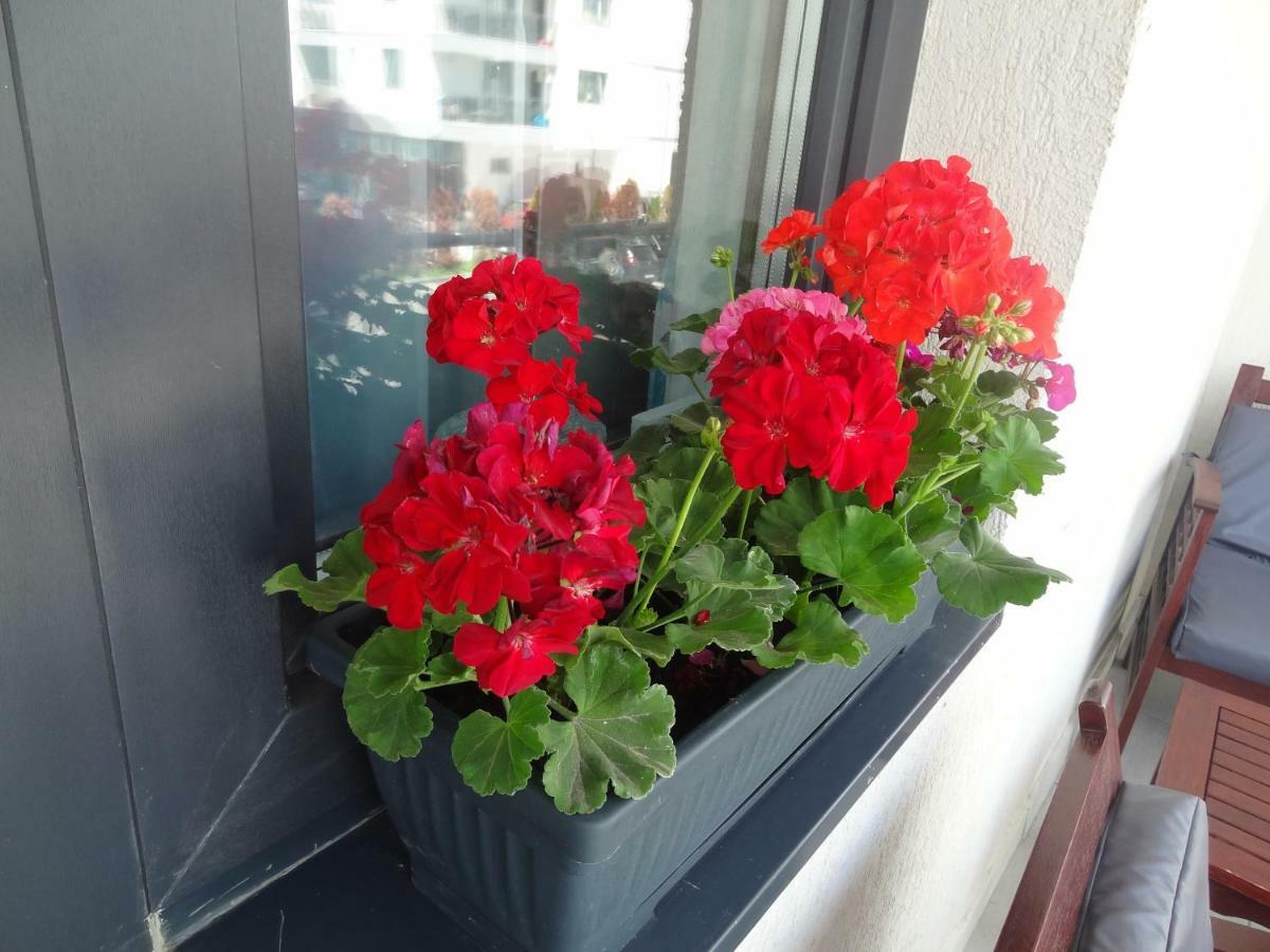 Sophia Residence Mamaja Zewnętrze zdjęcie